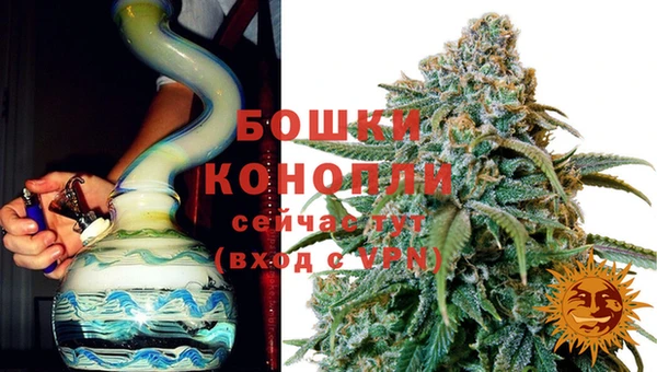 ПСИЛОЦИБИНОВЫЕ ГРИБЫ Семёнов