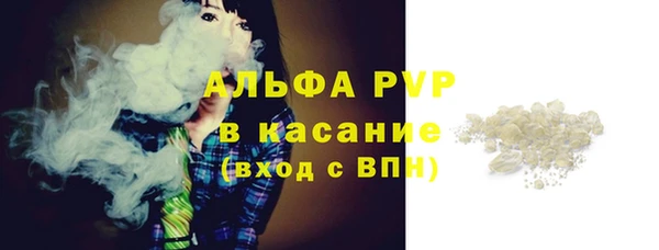 ПСИЛОЦИБИНОВЫЕ ГРИБЫ Семёнов