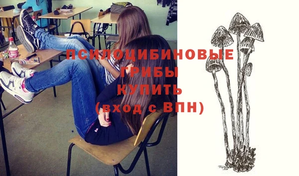 apvp Никольское
