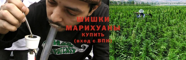 крисы Семилуки