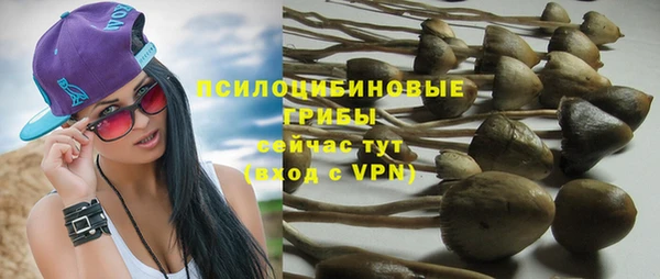 прущая мука Саяногорск