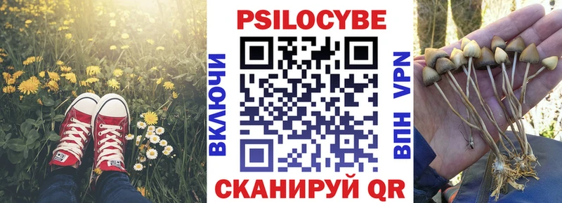 Галлюциногенные грибы мицелий Черногорск