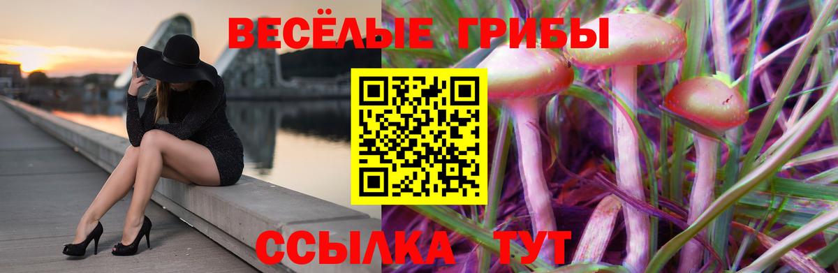 наркотики  Псилоцибиновые грибы MAGIC MUSHROOMS  Вход с VPN  Черногорск 